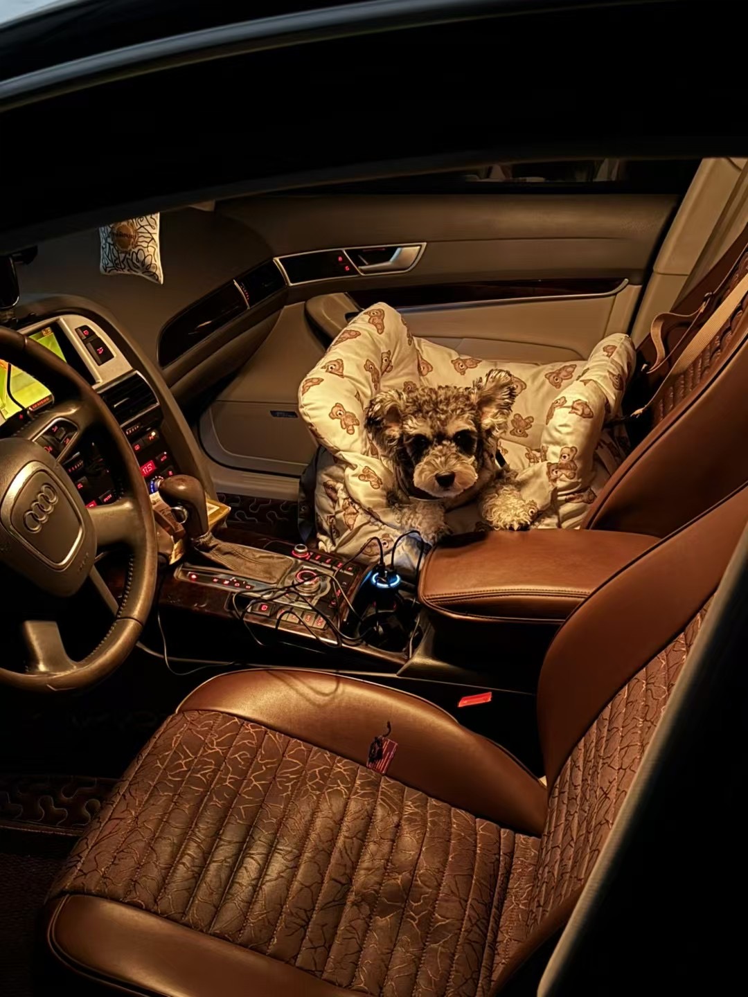 小狗专车为您服务！