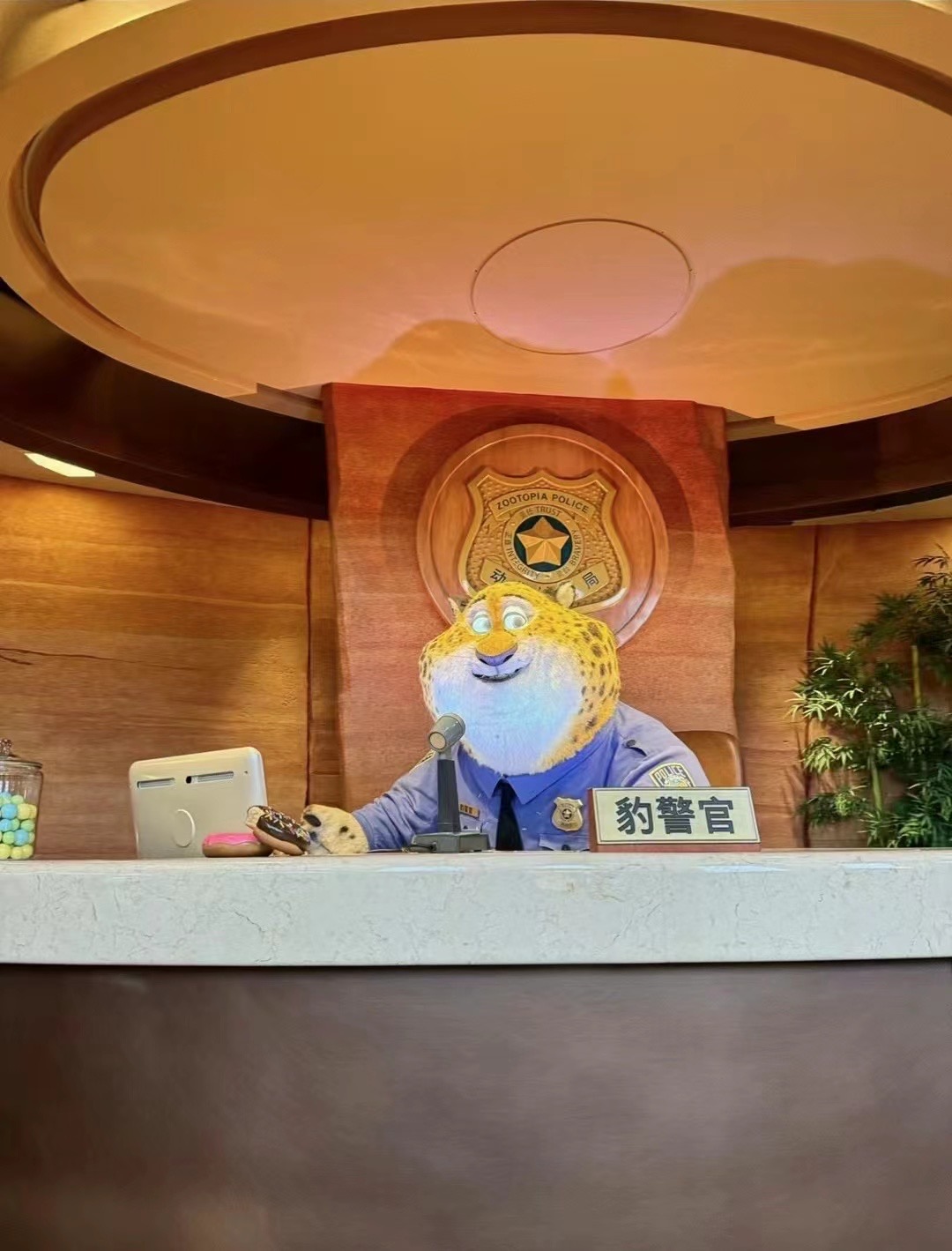 2.7.上迪.疯狂动物城！ with zj. ❤️