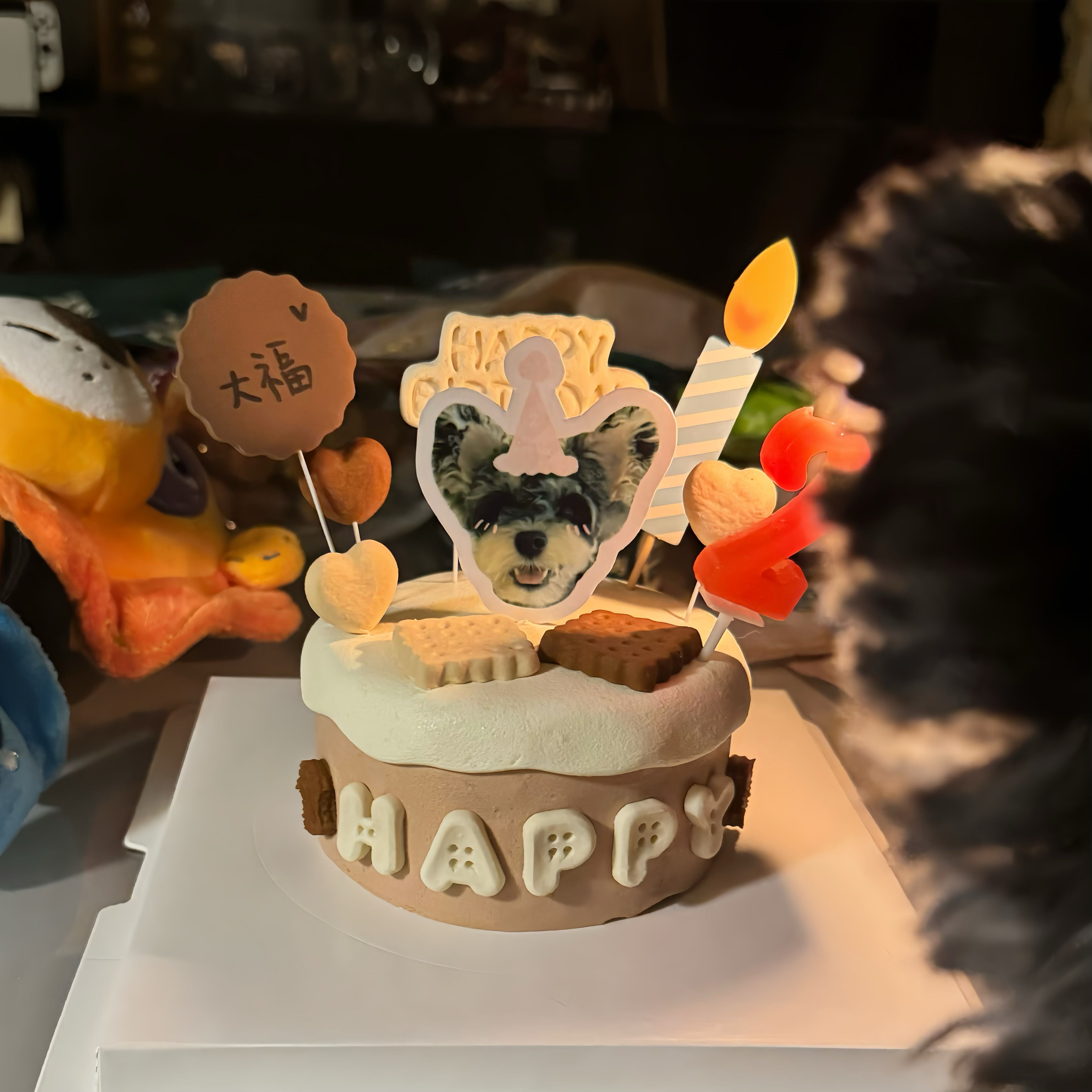 大福2️⃣岁啦🎂 和你❤️